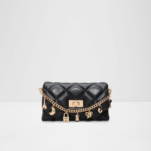 ALDO BAGS(FREE SF🚚)