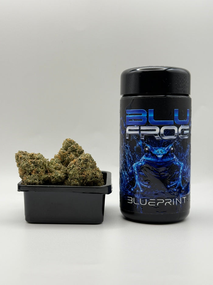 Blu Frog