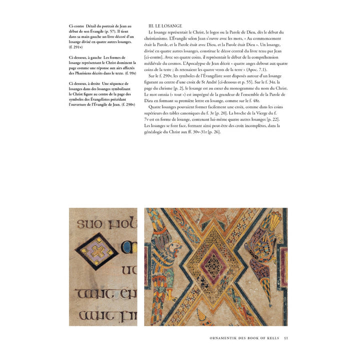 Le Livre de Kells Guide Officiel