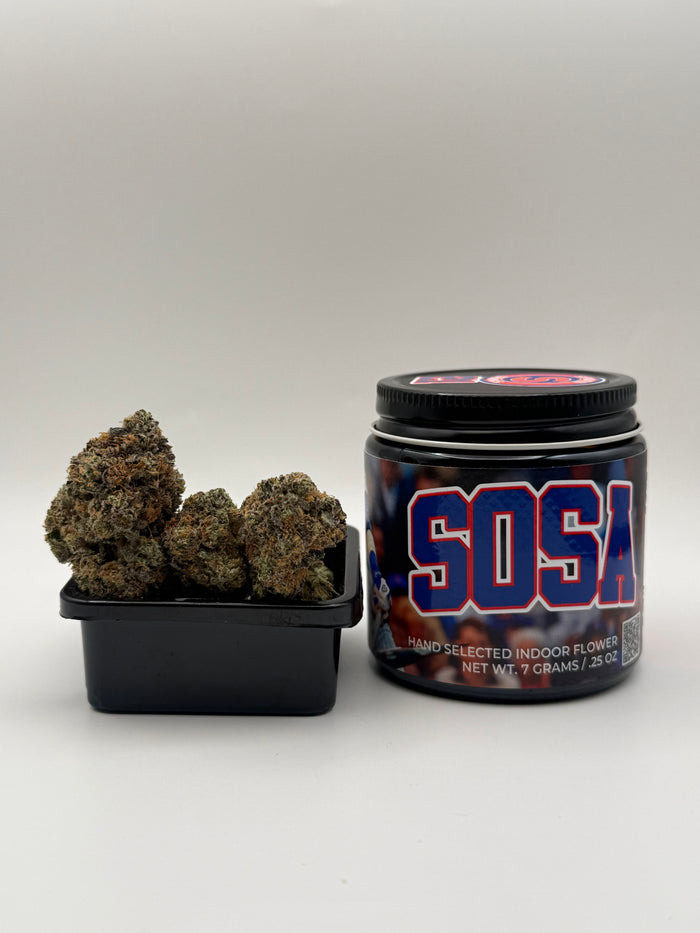 Sosa