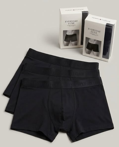TOMMY HILFIGER Briefs(FREE SF🚚)