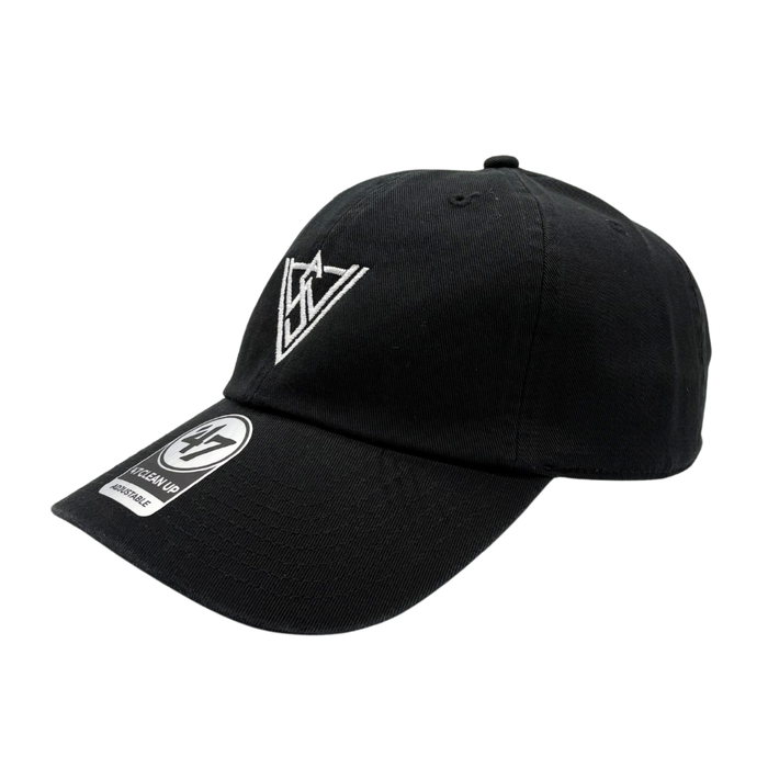 VWAS Logo Dad Hat