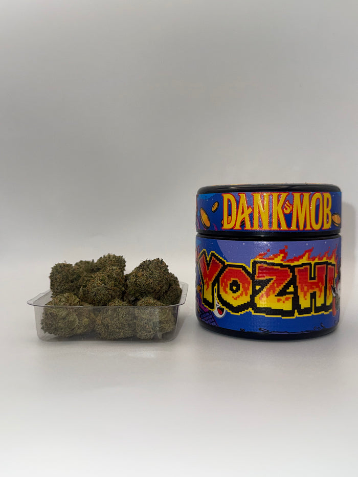Yozhi