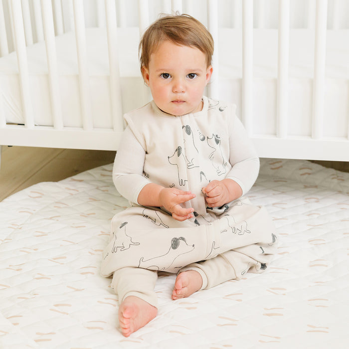 4 Season® Baby Sleep Bag with Feet, Merino Wool & Organic Cotton, Puppy