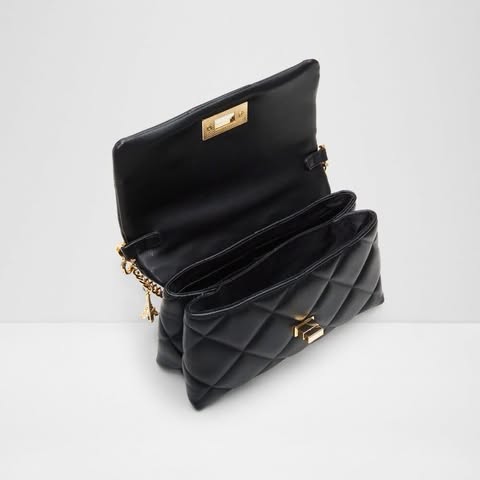 ALDO BAGS(FREE SF🚚)