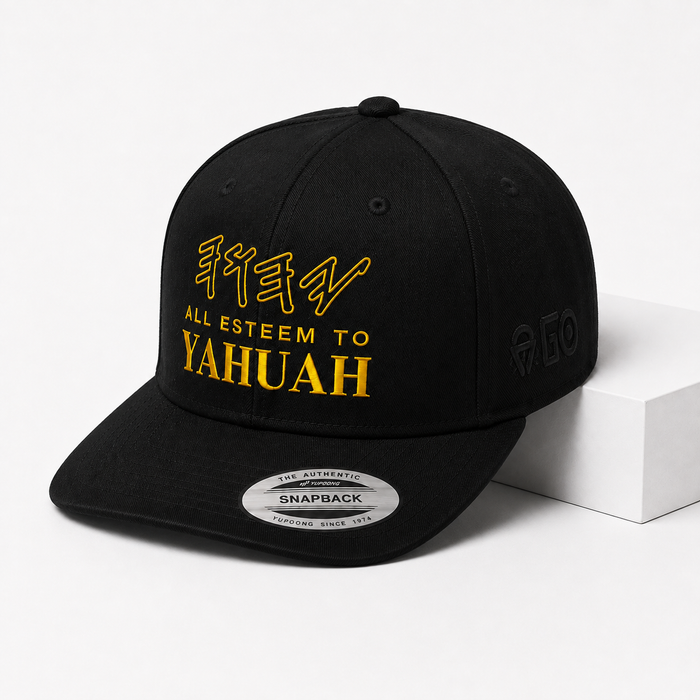 All Esteem to YAHUAH Snapback Cap