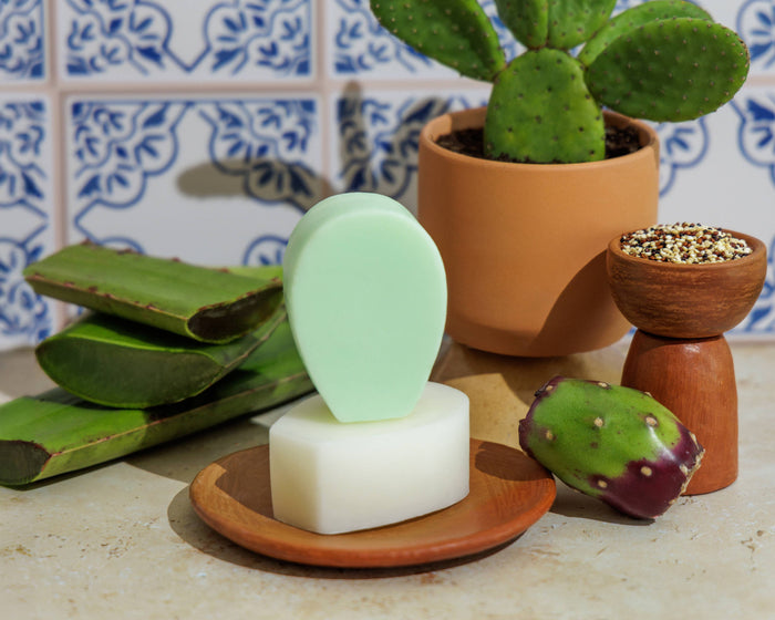 Balance + Repair Solid Shampoo and Conditoner Bar
