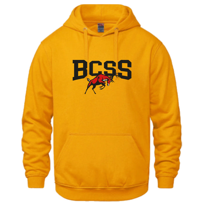 BCSS HOODIE (3 colour options | Optional Arm Name)