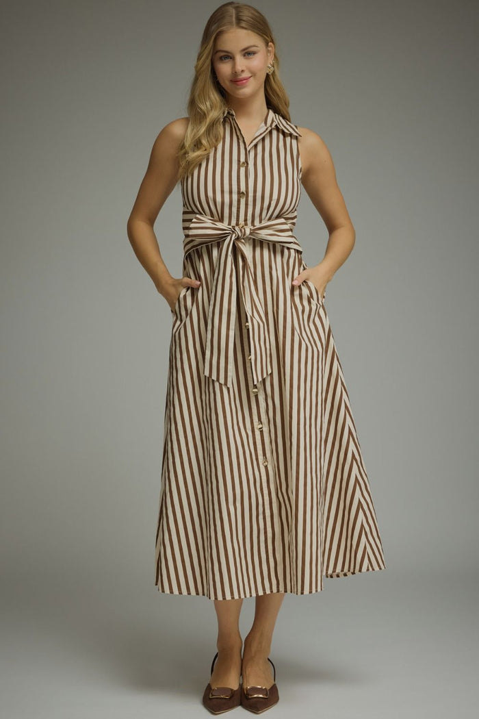 Belmont Stripe Dress