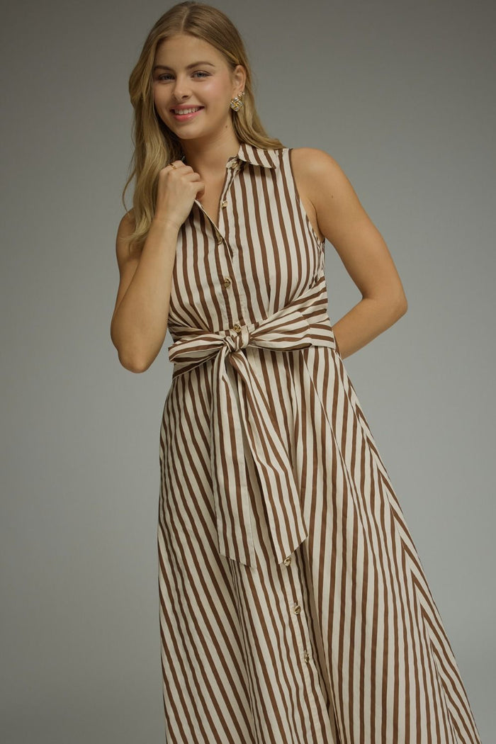 Belmont Stripe Dress