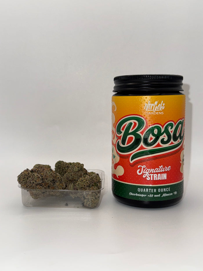 Bosa