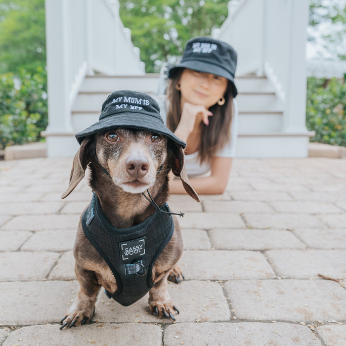 A brown dachshund in a black Sassy Woof "Bucket Hat Bundle - BFF" hat and harness sits on a stone path, while a woman in the matching hat poses behind. Both hats feature white lettering, with greenery and white railings in the background.