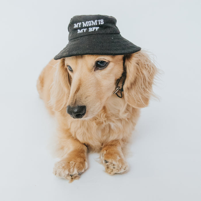 A light brown dachshund lies on a plain white floor wearing the Sassy Woof Bucket Hat Bundle - BFF, a black embroidered dog bucket hat that says "My Mom is My BFF" in white letters.