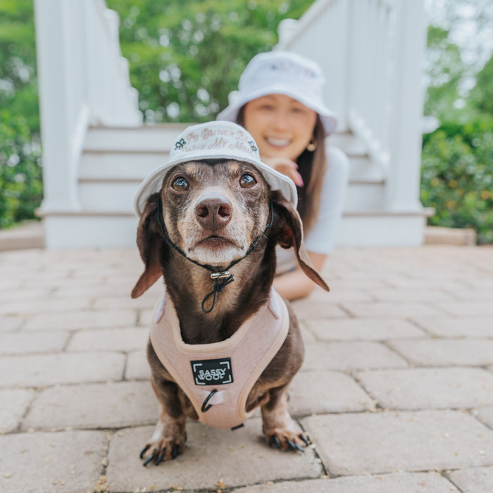 A brown dachshund in a light pink harness and Sassy Woof’s "I'd Rather Be" Bucket Hat sits on a brick path, with a smiling woman in white and a matching hat behind, both framed by lush greenery.