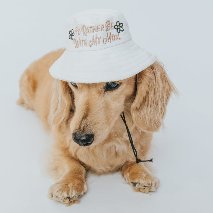 A dog models the Sassy Woof Bucket Hat Bundle - I'd Rather Be, striking a playful pose and showing off its unique style.