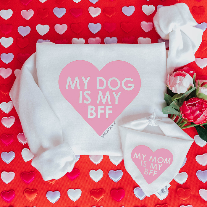 The Sassy Woof Bundle - BFF Valentine's Sweatshirt & Bandana (PINK) features a pink heart "My dog is my BFF" sweatshirt and matching "My mom is my BFF" bandana, set on a red heart-and-flowers background—perfect for you and your pup.