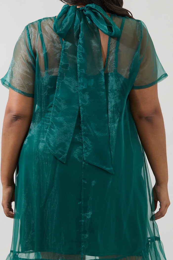 Dime Organza Long Cami Dress Curve