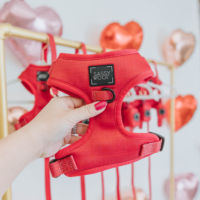 A hand with pink nail polish holds up a Sassy Woof Dog Adjustable Harness - Merlot. Behind it, more of the red harnesses hang on a gold rack, with heart-shaped balloons in the background.