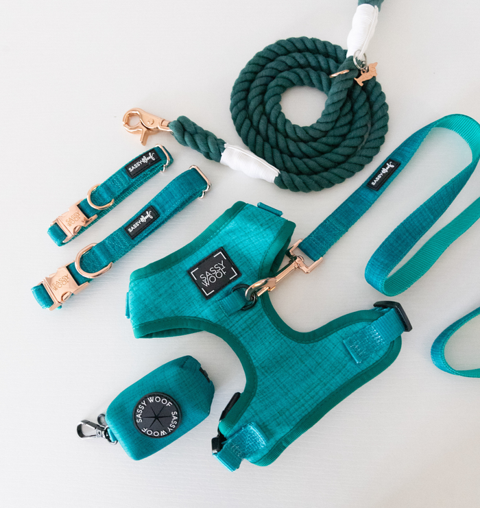 The Sassy Woof Dog Adjustable Harness - Napa set in teal features a no-pull harness, leash, two collars, and a waste bag holder with gold hardware and white accents, all shown on a light background.