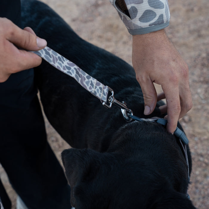 Person adjusting a dog leash on a black dog outdoors.