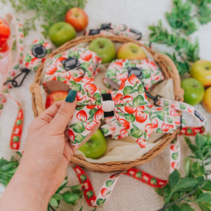 A hand with green nails holds the Sassy Woof Dog Sailor Bow - Apple of My Eye, showcasing its red and green apple pattern above a basket of apples and matching modern pet accessories, including a harness, among leafy greens.