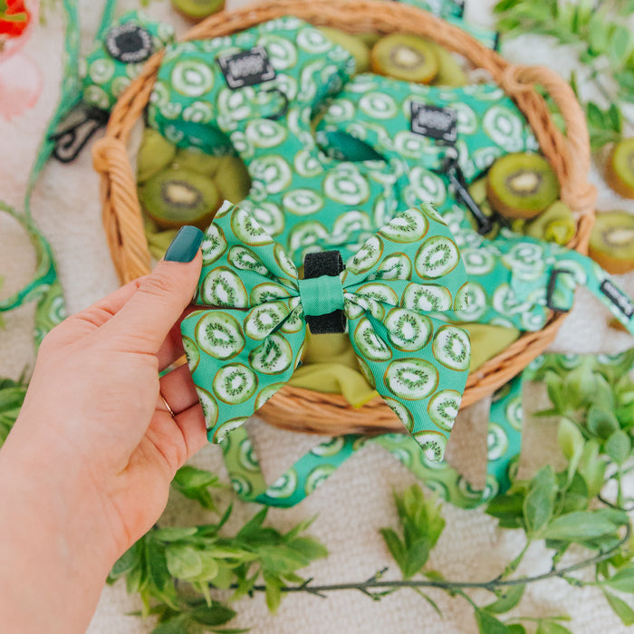 A hand holds the Sassy Woof Dog Sailor Bow - Kiwi Krazy, featuring a playful kiwi fruit pattern, in front of a basket with matching bows and fresh kiwis—perfect for fans of unique, fun dog accessories.