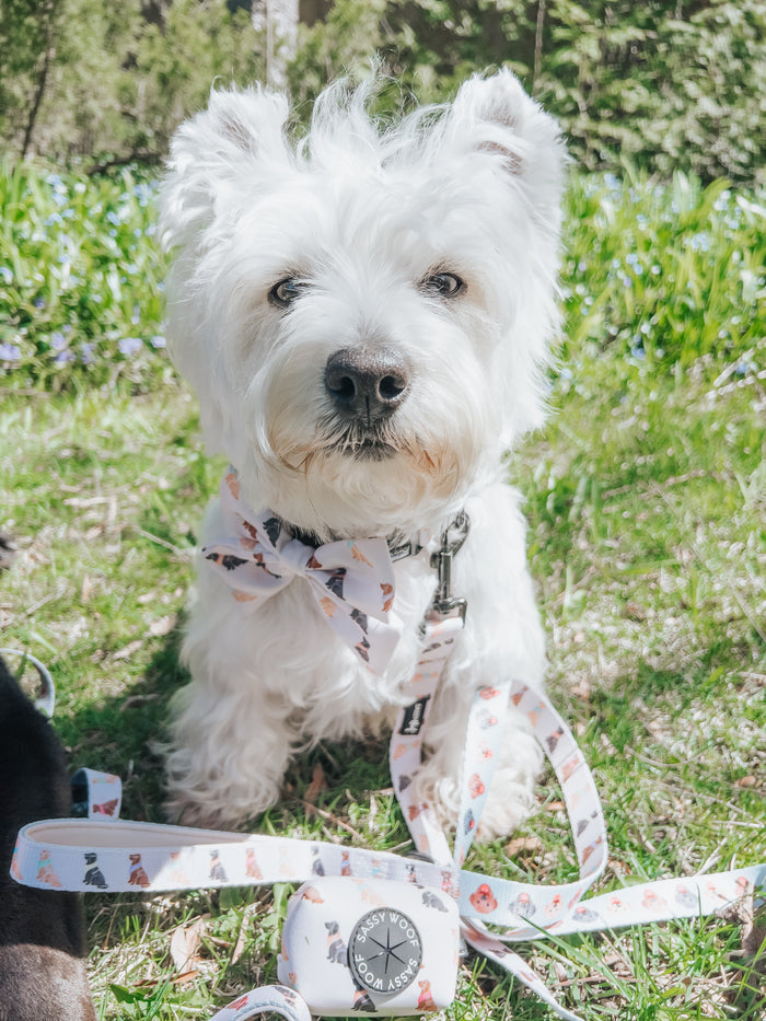 INFLUENCER_CONTENT | @LACEY.THE.WESTIE