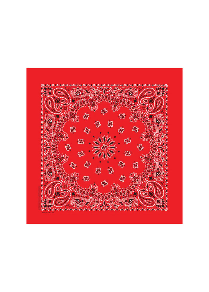 Embroidered Bandana - Red Paisley