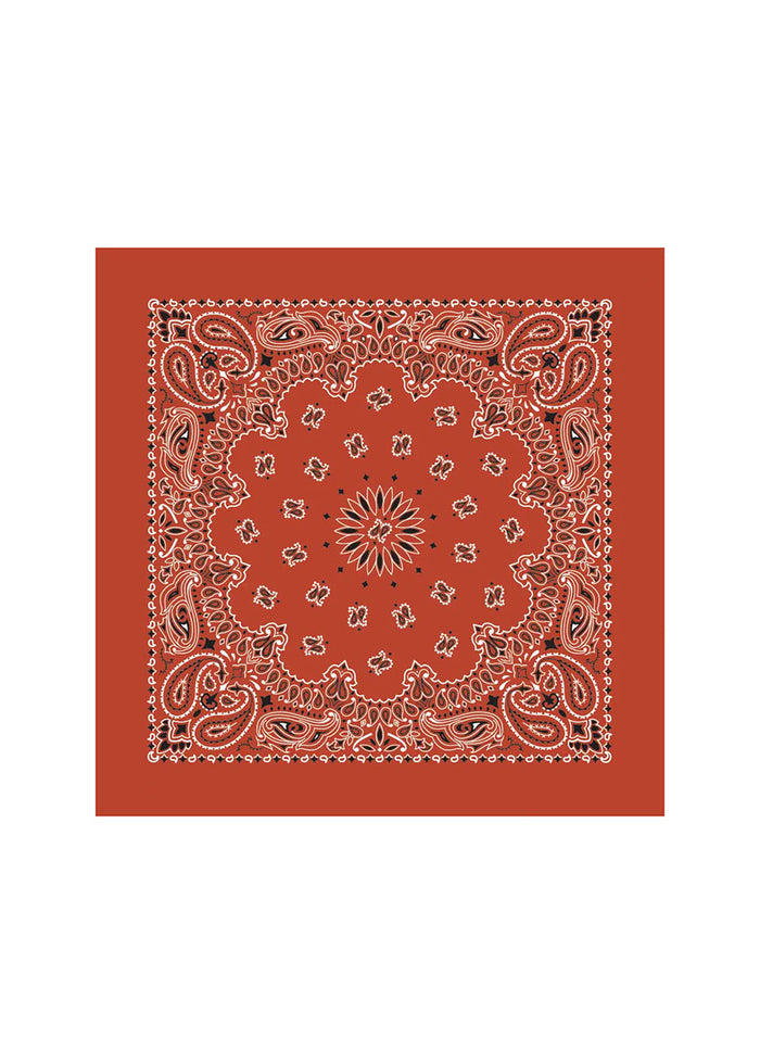 Embroidered Bandana - Terracotta Paisley