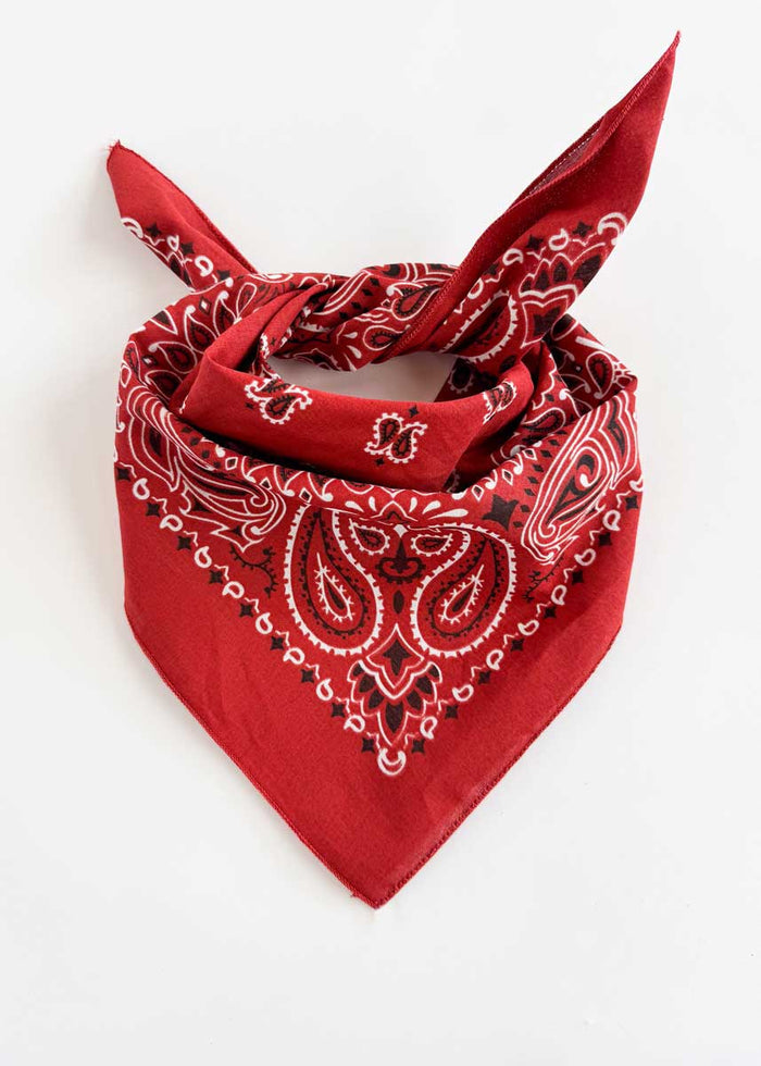 Embroidered Bandana - Terracotta Paisley