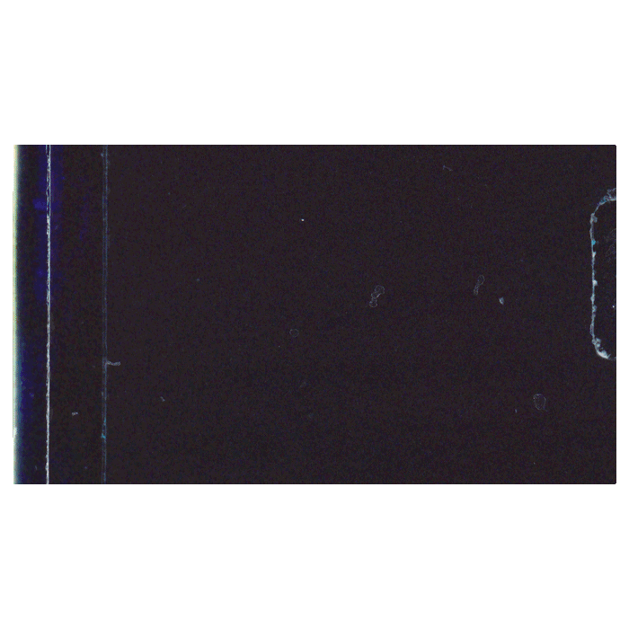 Film Burns Vol. 1