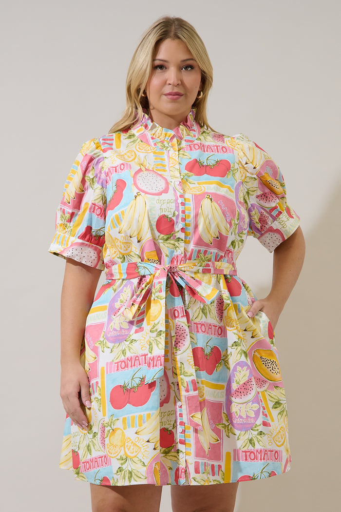 Karesa Button Down Mini Dress Curve Farmers Market