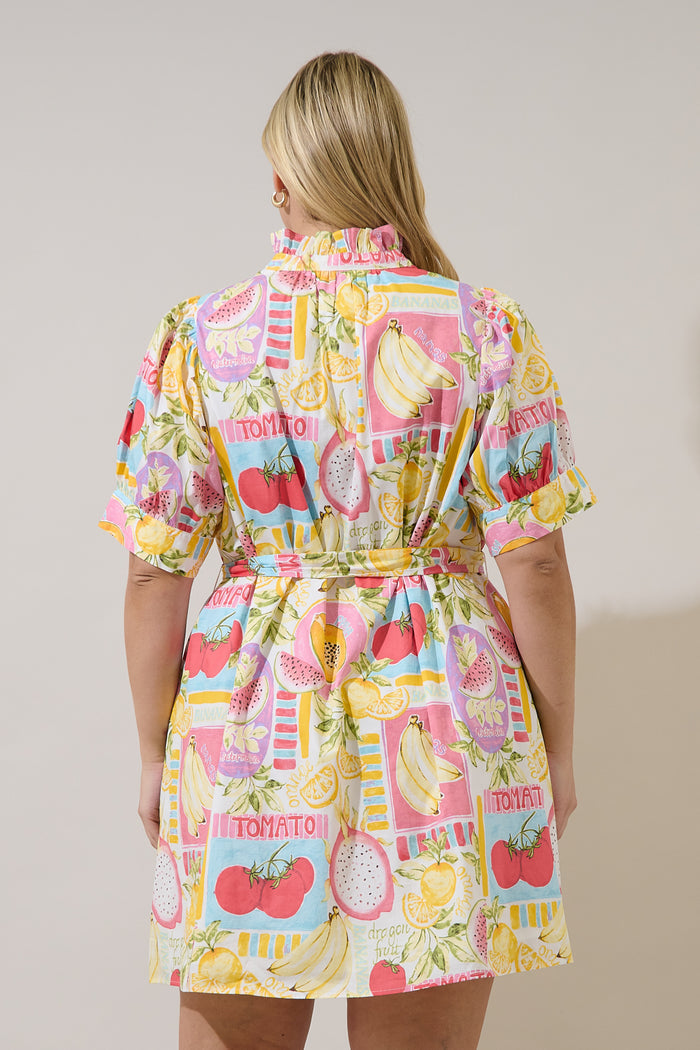 Karesa Button Down Mini Dress Curve Farmers Market