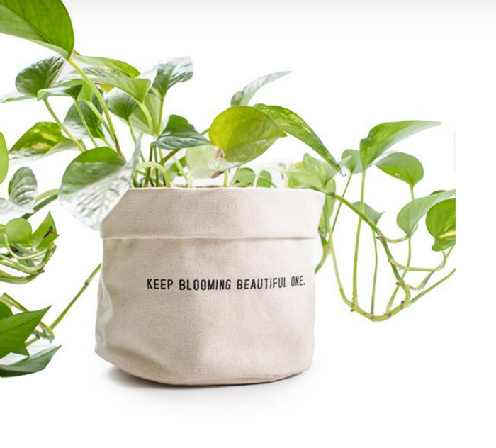 Large Canvas Planter