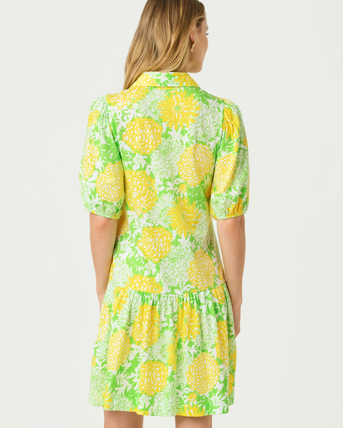 Lilly Pulitzer Bingly Dress - Crocodile Green Mumbo Jumbo