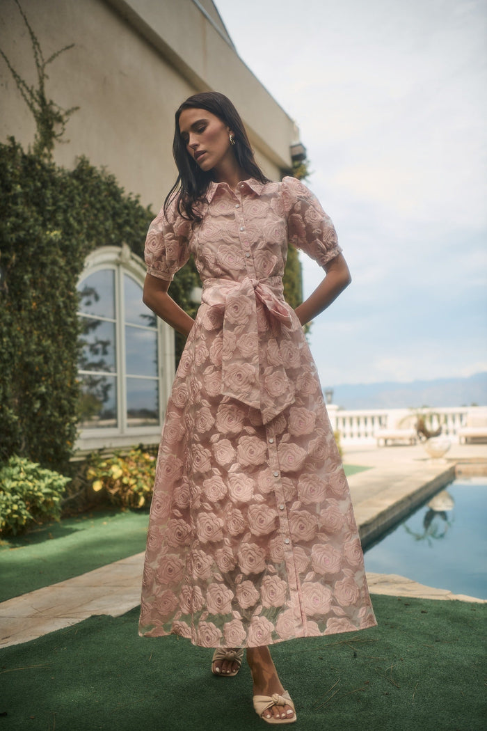 Midnight Rose Aveline Collared Maxi Dress