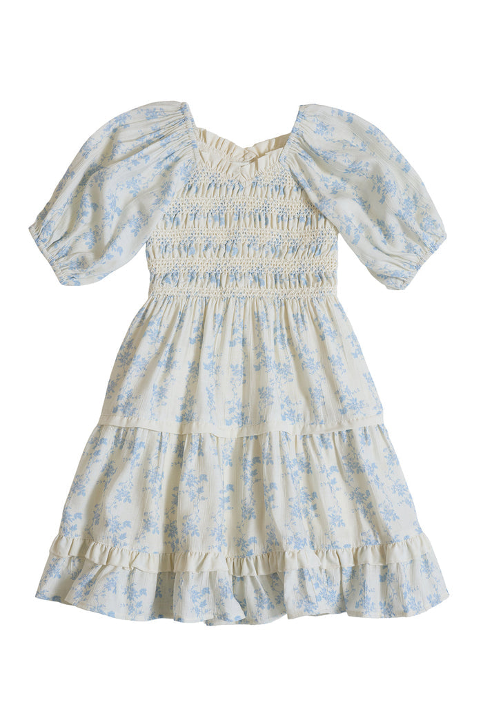 Mini Roselyn Dress in Ivory Porcelain Fleur-8