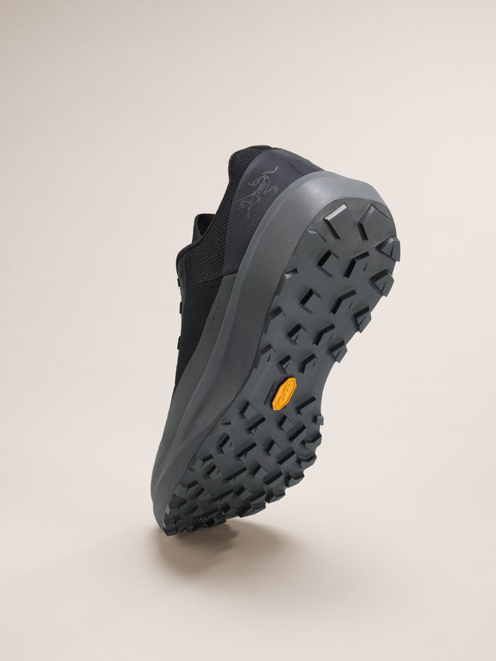 Norvan LD 4 Shoe Men's