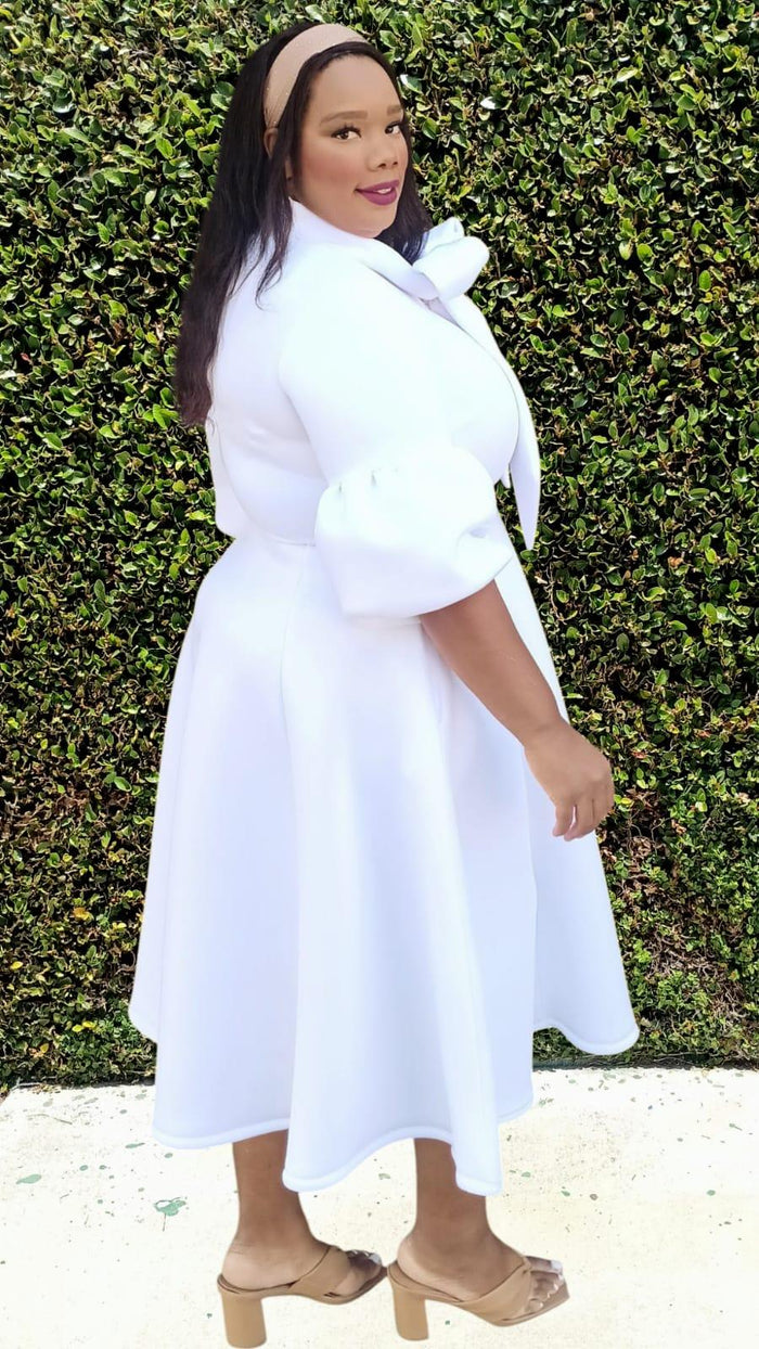 Plus Size 3/4 Bishop Sleeves Big Bow Neck Flare Midi Dress