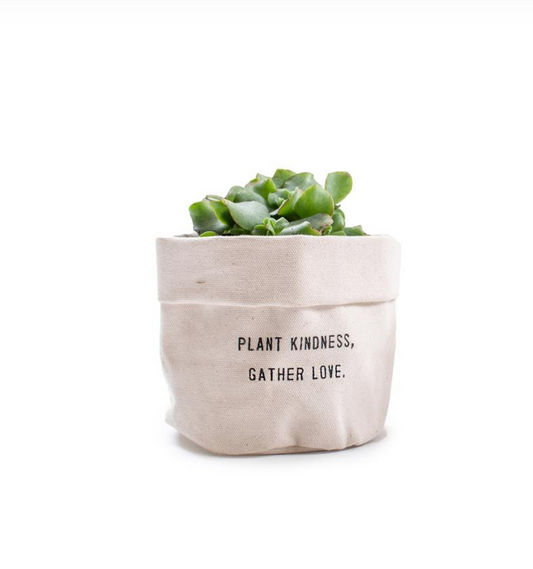 Small Canvas Planter