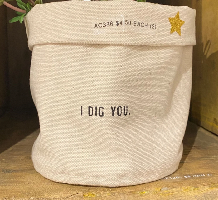Small Canvas Planter