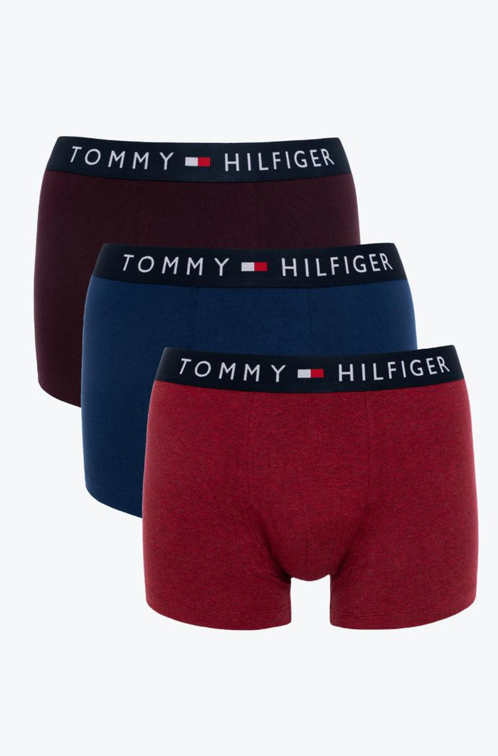 TOMMY Briefs (FREE SF🚚)