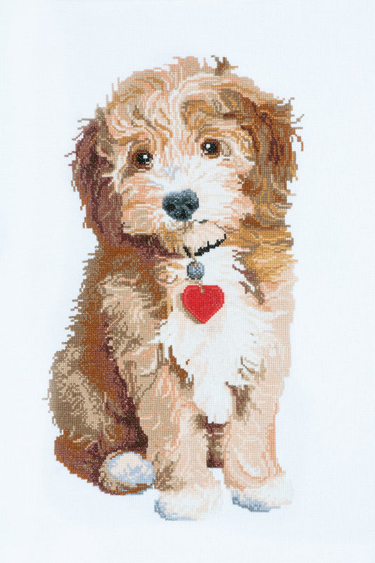 Trimits Counted Cross Stitch Kit Large: Dog, 36x36cm, Includes Aida Fabric, Pre-Sorted Threads, Needle, Personalizing Alphabet, Instruc...