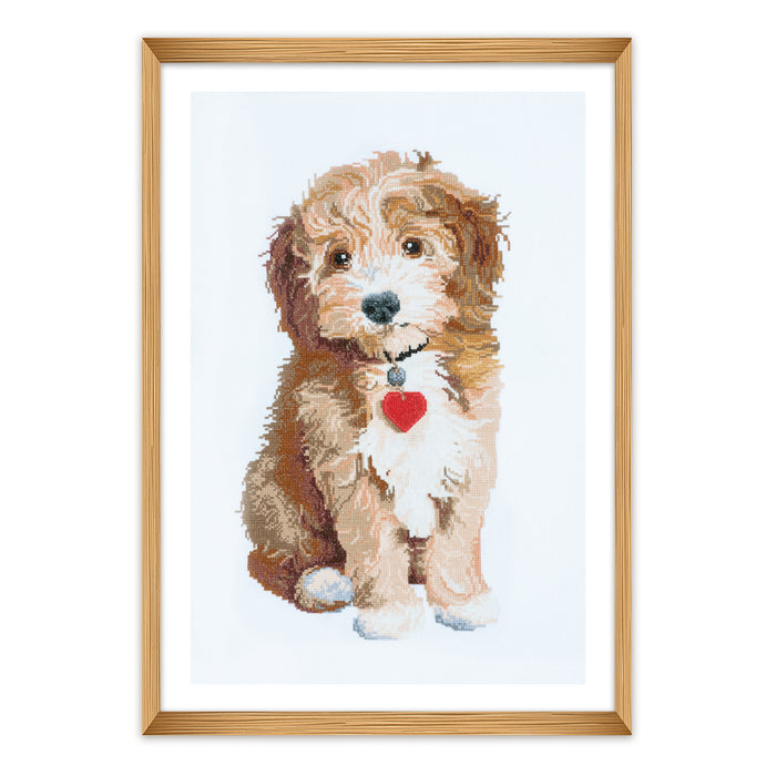 Trimits Counted Cross Stitch Kit Large: Dog, 36x36cm, Includes Aida Fabric, Pre-Sorted Threads, Needle, Personalizing Alphabet, Instruc...