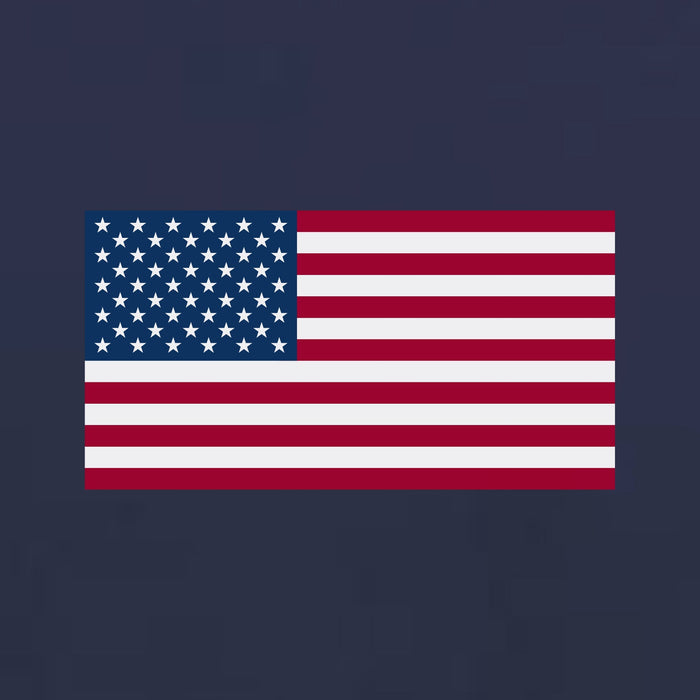 USA Flag Ladies Left Chest T-Shirt