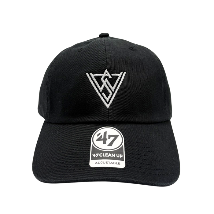 VWAS Logo Dad Hat
