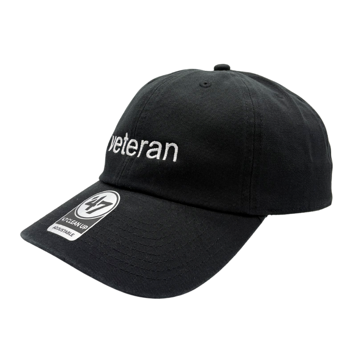 VWAS Veteran Dad Hat