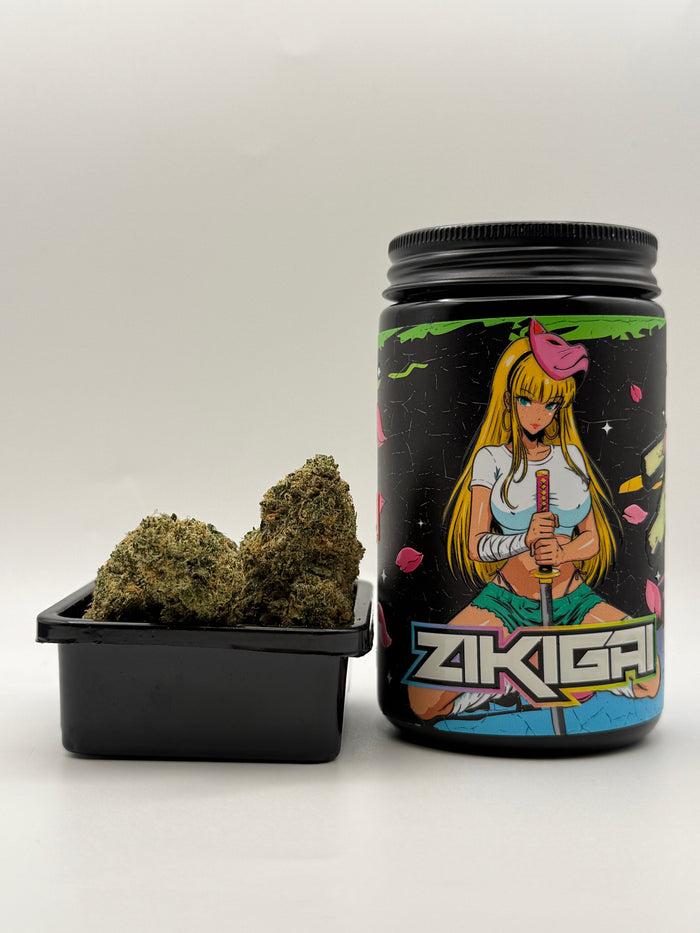 Zikigai